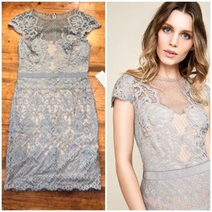 NWT Tadashi Shoji Savita Gray Lace Dress